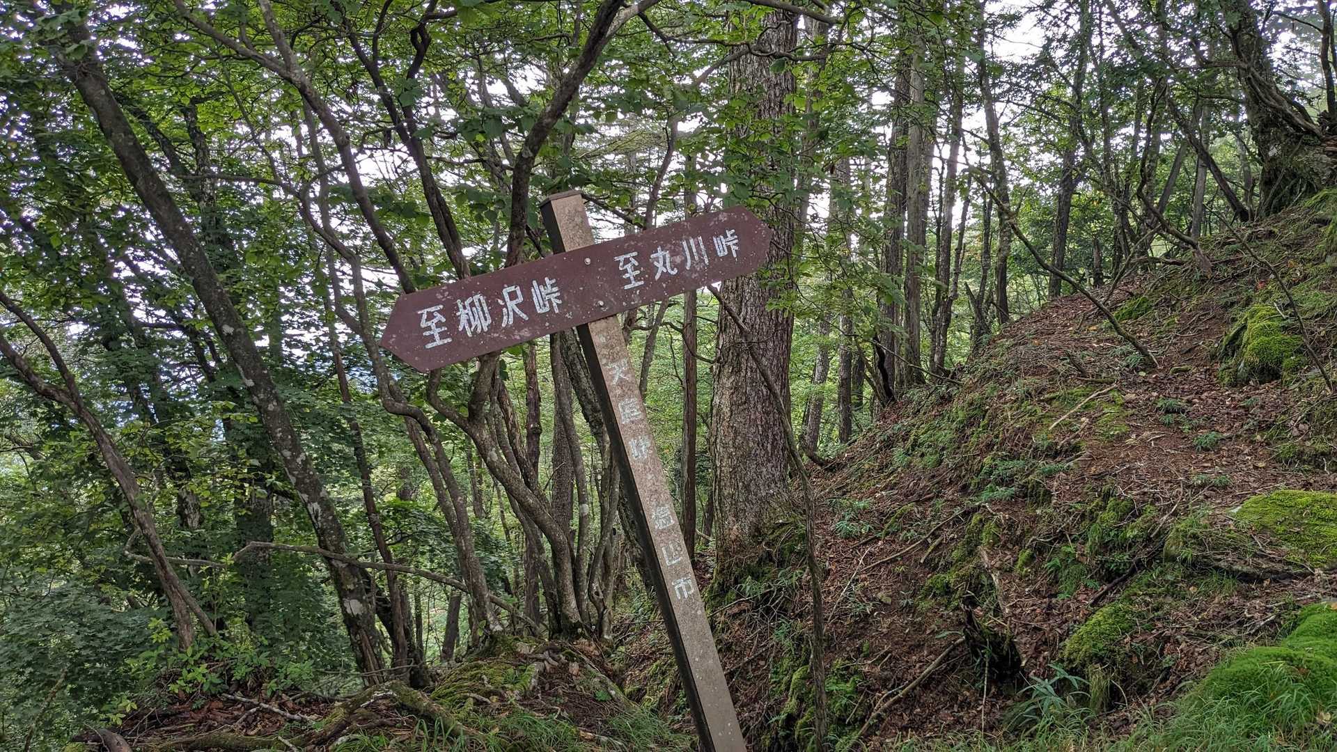 峠を4つ越えて行きます💨