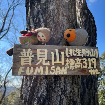 サブネームが北生駒山⁉️
どこかに南生駒山もあるのかな？