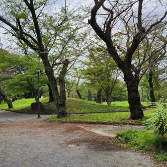 そういえば、ここは桜の名所で王子駅のホームからもよく見えます。