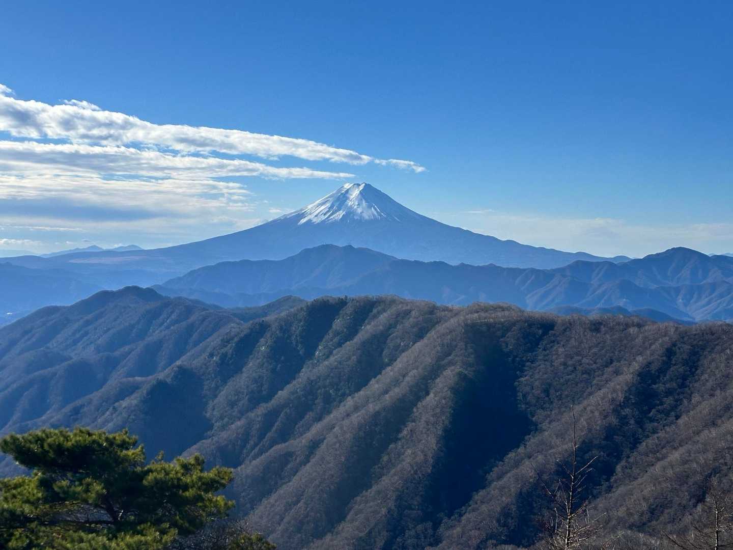 湯の沢峠-黒岳-川胡桃沢の頭-牛奥ノ雁ヶ腹摺山-小金沢山 往復コースの写真