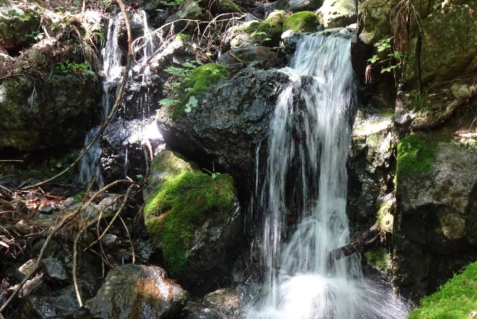 新道峠-破風山-すずらん峠-御坂黒岳-中沢山 縦走コースの写真