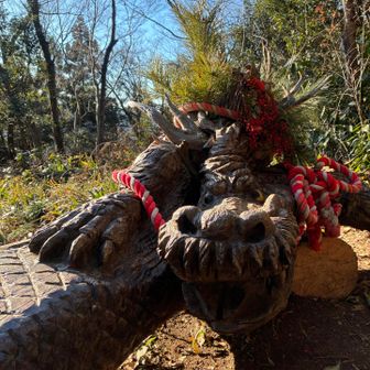 龍もお正月仕様に🎍