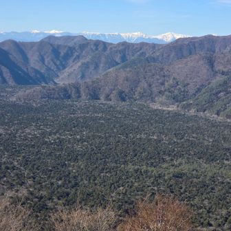 青木ヶ原樹海、南アもバッチリ！