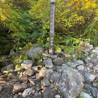 ココからゴツゴツした岩を登る区間です