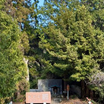 お地蔵さんの右脇を入って行けばどこまでも続く
中級上級者コースかな？
過去に浅間神社までの縦走をした事もある