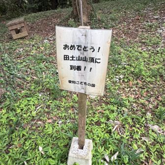 眺望は全く無く、木々に囲まれてます