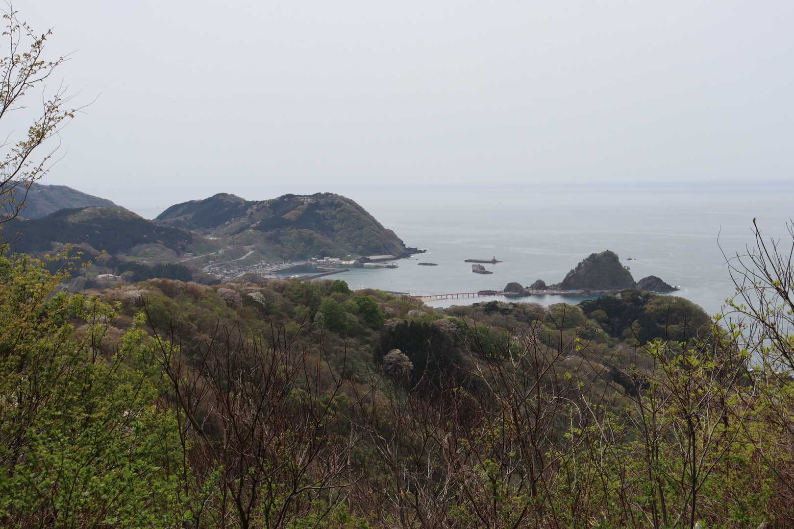 おつかれ山でした。昔登った時、海もちょっとしか見えずつまらないと思ったのは、山口口から登ったからだということがわかりました。思ったより緩やかな優しい道でした。夏山に向けてだんだんハードにしていかなければ。