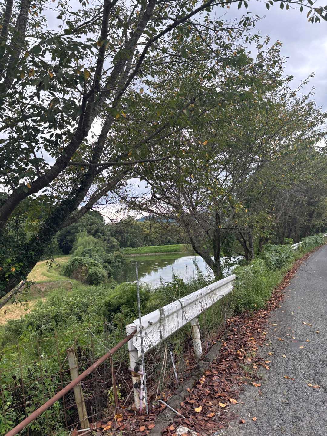 雨に降られることなく無事下山😊
