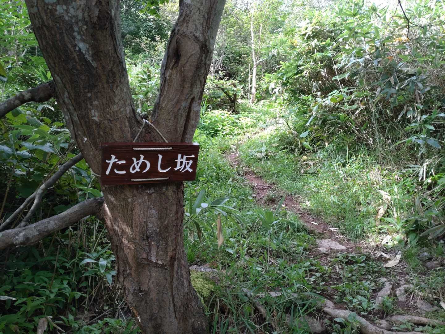 最初からためされて体力消耗します