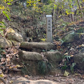 天園から瑞泉寺へ