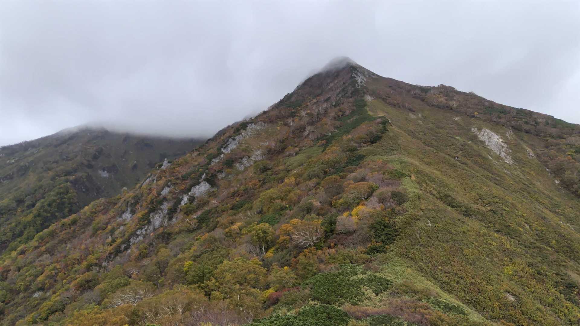 山頂は雲の中です
