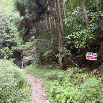 郵便道🛣️