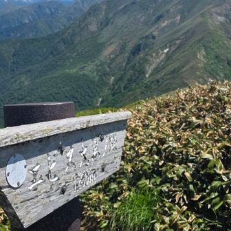 エビス大黒ノ頭
仙ノ倉山までもう少し