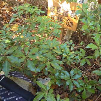 おつかれ山～⛰️ こちらもしんどかった