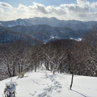 これ下りても
奥さん行けそう