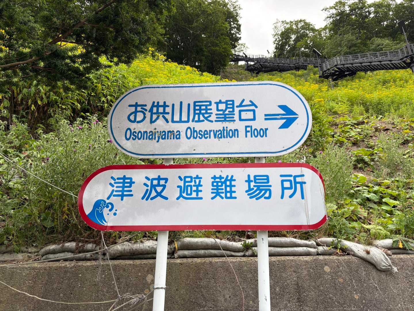 お供山 往復コースの写真