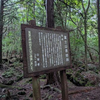 富士山原始林
合併前の市町村の名前があるのも味があって好きだなあ