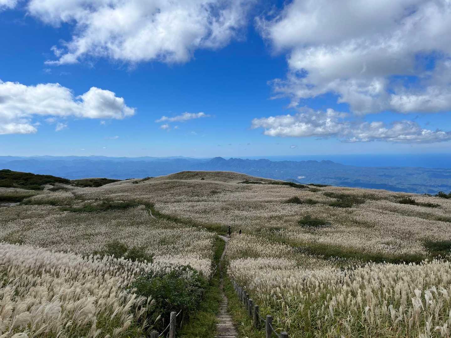 西の原登山口-男三瓶山 往復コースの写真