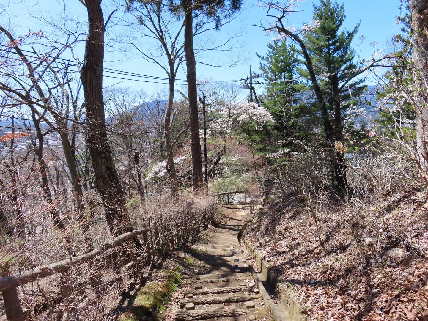 あじさいハイキングコースの様子
とにかく、続々と外国人観光客が登ってきました。
道を譲って「プリーズ」をしたらネイティブな英語で「Thank you」が返ってきました…当たり前か😅