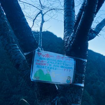 もちろんヤッホー言うたよ。声でかいから返事きたよ（笑）