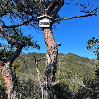百石山　山頂！
木箱を見つけたら上を見上げて下さい😎