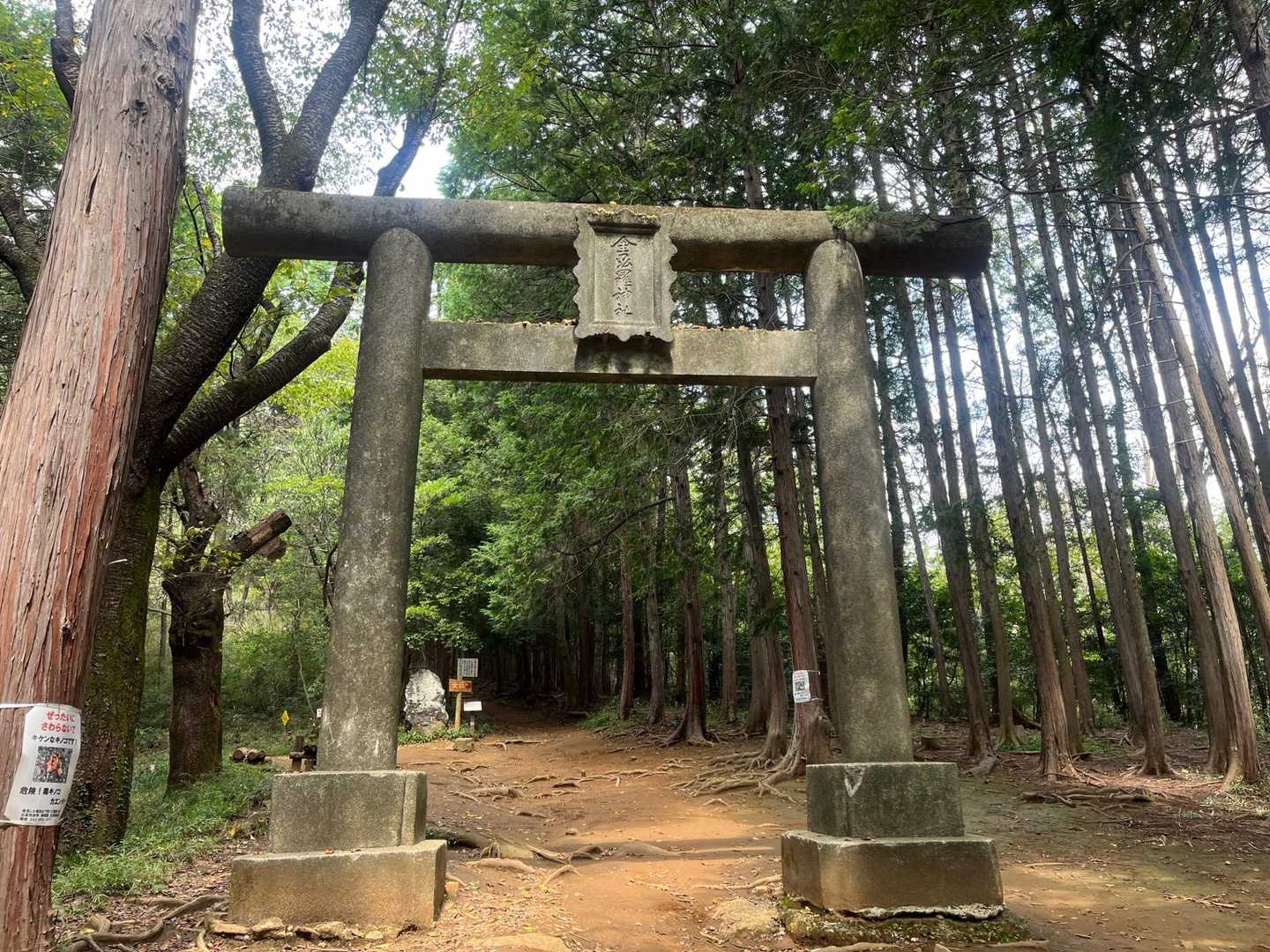 一の鳥居です⛩