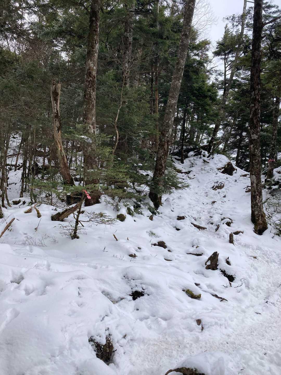 雪が深くなってきました。「人型つけたくなってきたなぁ😏」と同行者さま。分かる、分かる！その気持ち。