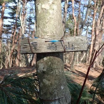 尾崎山に着きました🤗