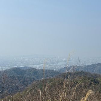 ここが1番景色が良かった！