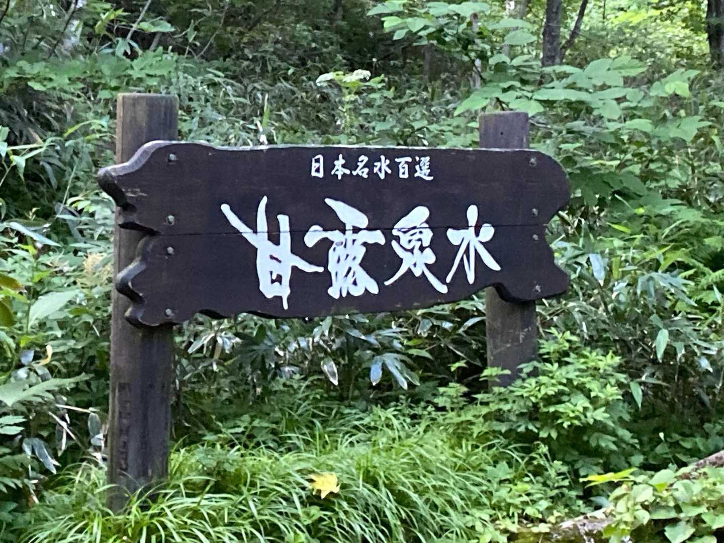 利尻北麓野営場登山口 往復コースの写真
