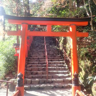 貴船神社/参道

