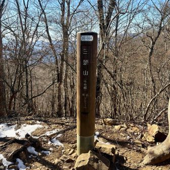 三頭山（中央峰）標高1531m
年越しで歩いた塔ノ岳より高いんだ😳✨