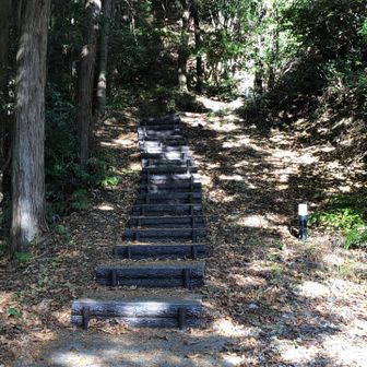 整備された階段🪵