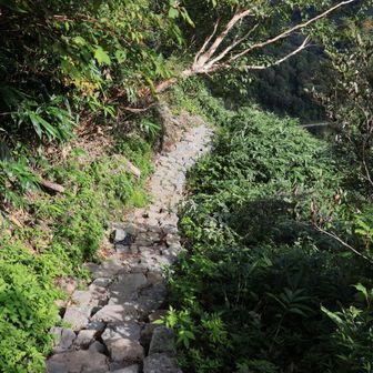 観光新道の中腹より下は素晴らしく整備されています
石階段がありがたい😌