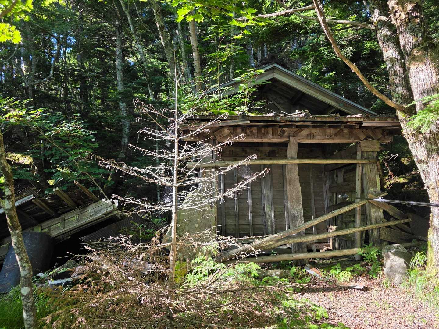 歴史が残っているのを見ると
こうして､ここを歩けることが
ありがたいことなんだと感じられる