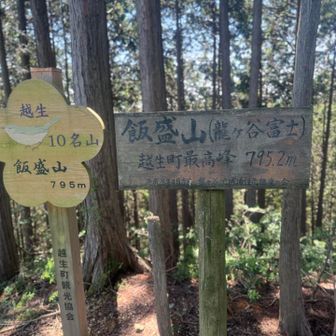 越生の方の飯盛山