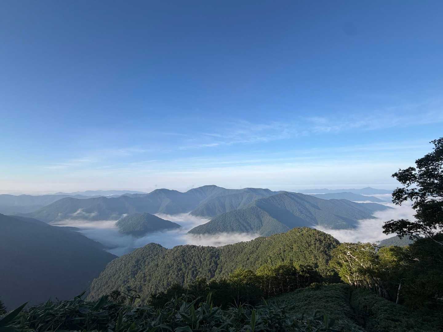 サイコー✨

何山かはわかりません😅