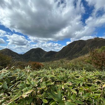 リフトですぐ到着する太平山もよいが、やっぱりお鉢巡りは三瓶ファミリーを堪能出来て楽しい！
アップダウンあって、疲れるけど😅