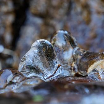 育つのが楽しみの超ミニ氷柱