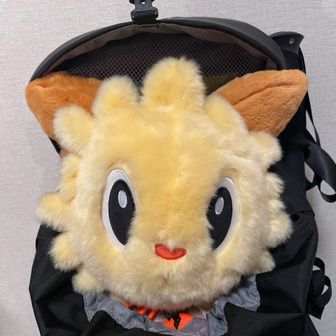 ヨーテリーの人類