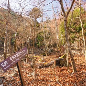 中ノ倉山登山口