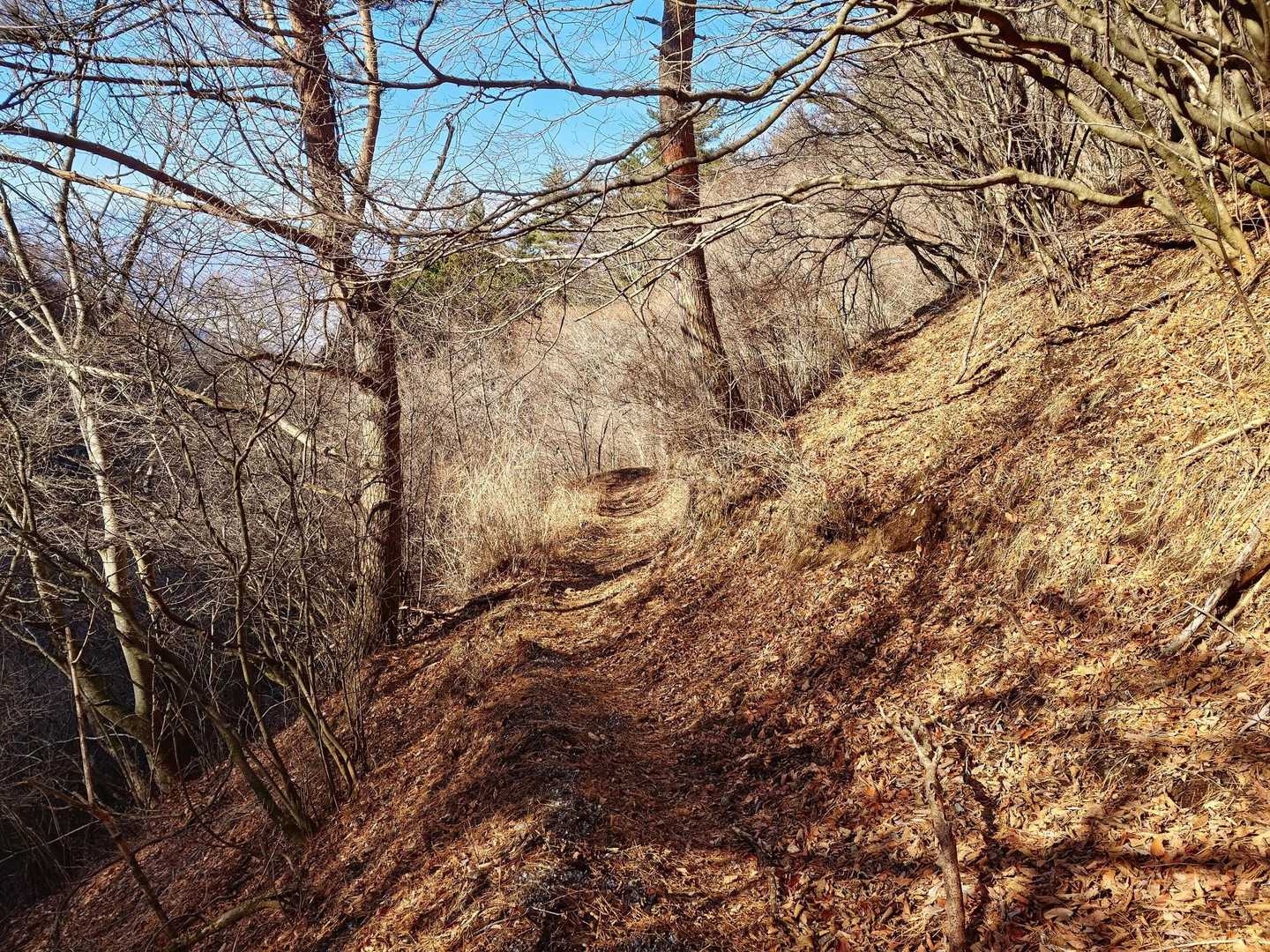 下山の道は緩やかで歩き安くて良かった😊