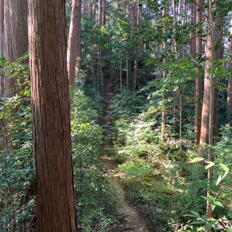 もう少しです。