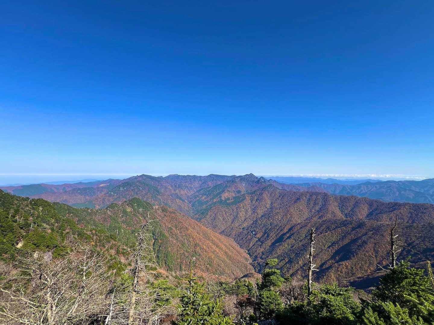 八経ヶ岳 | 近畿最高峰の絶景パノラマ。苔むす原生林を抜け大峰の峰々を望むの写真