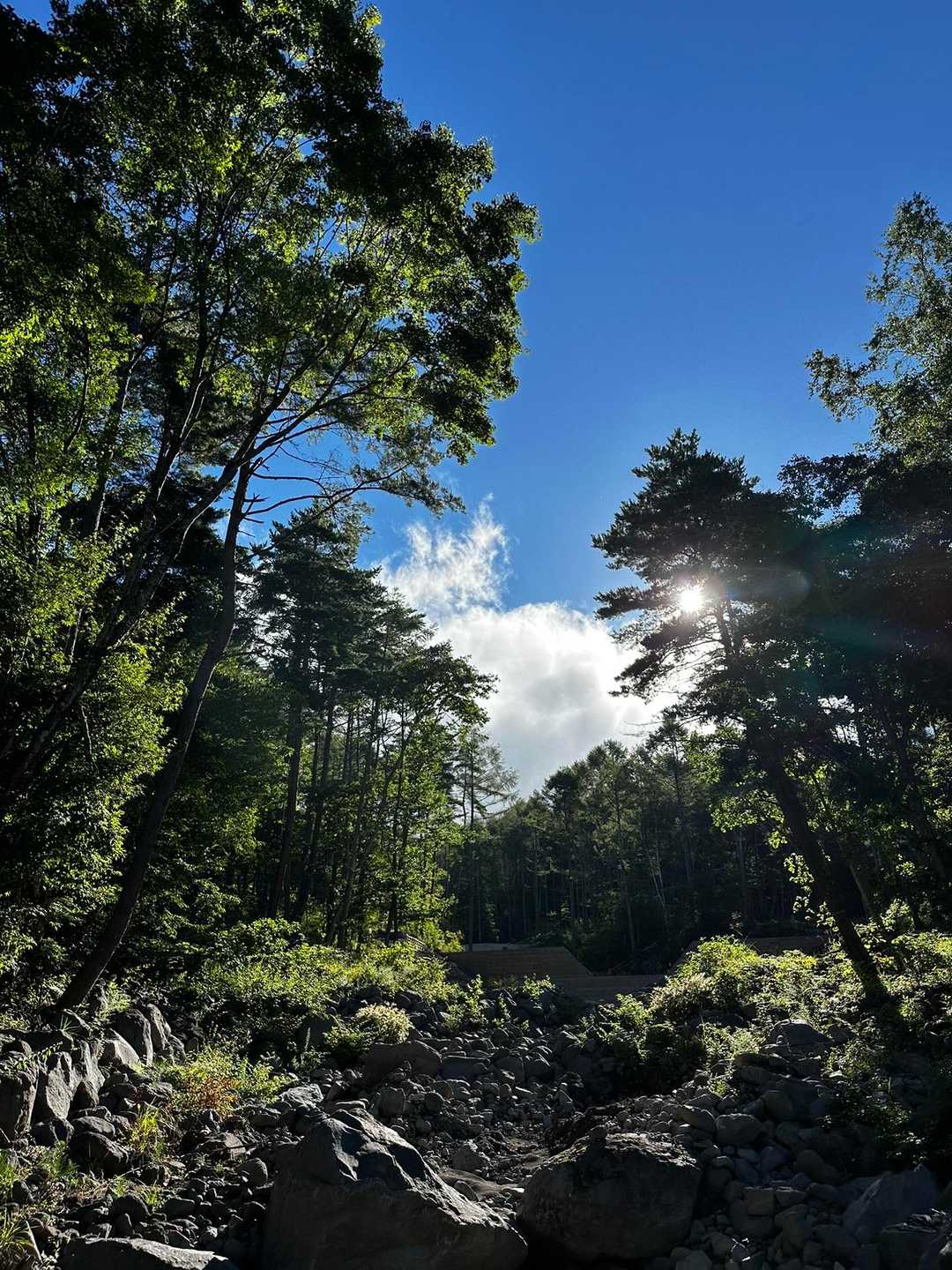 編笠山・西岳登山口-西岳 往復コースの写真