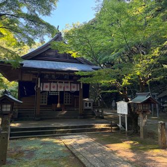 金毘羅神社は紅葉の名所でもある
