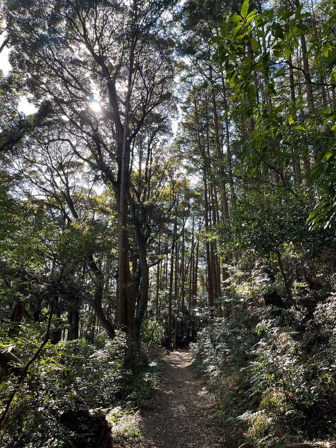 間場登山口-石巻山 往復コースの写真