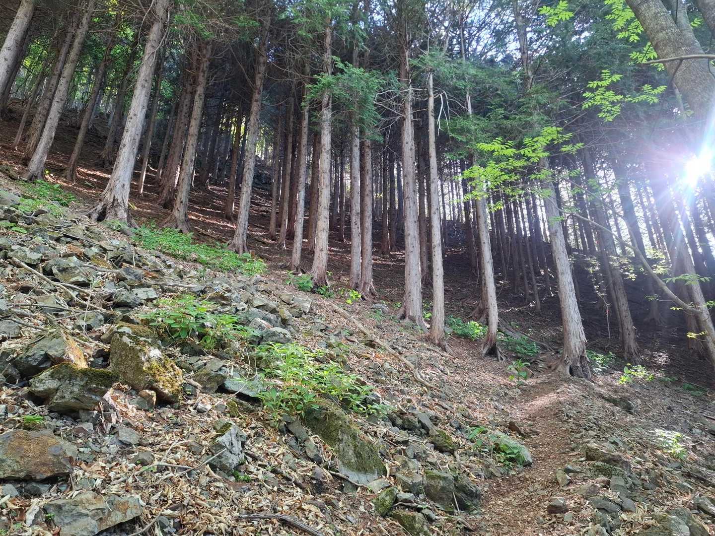 つづら折りで登っていきます