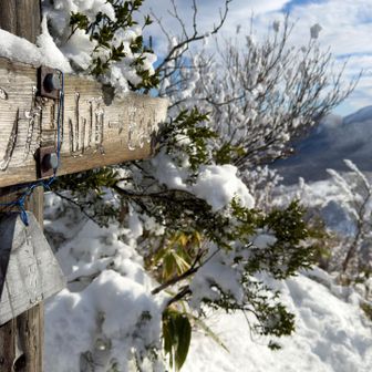 急坂を登ってトンガリ着
