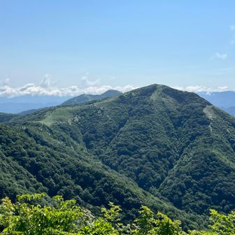 山の魅力満載の下蒜山と中蒜山⛰️
蒜山三座縦走コースは、ユートピアと呼ばれる見事な笹原を歩くことができるそうで、又歩いてみたい🚶‍♂️‍➡️